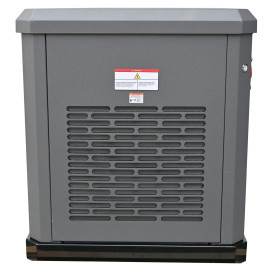 Газовый генератор EVOline GNG 13500 E