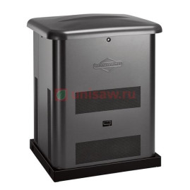 Генератор газовый Briggs & Stratton 8000