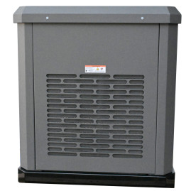 Газовый генератор EVOline GNG 19000 E
